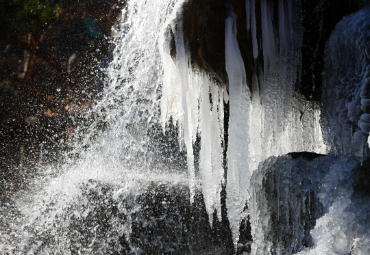동해안을 제외한 강원 대부분 지방에 맹추위가 기승을 부린 5일 강릉시 대관령박물관 내 폭포에 고드름이 달려 있다.